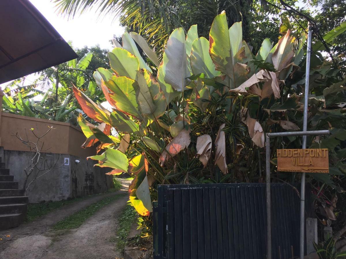 Hidden Point Villa 乌布 外观 照片