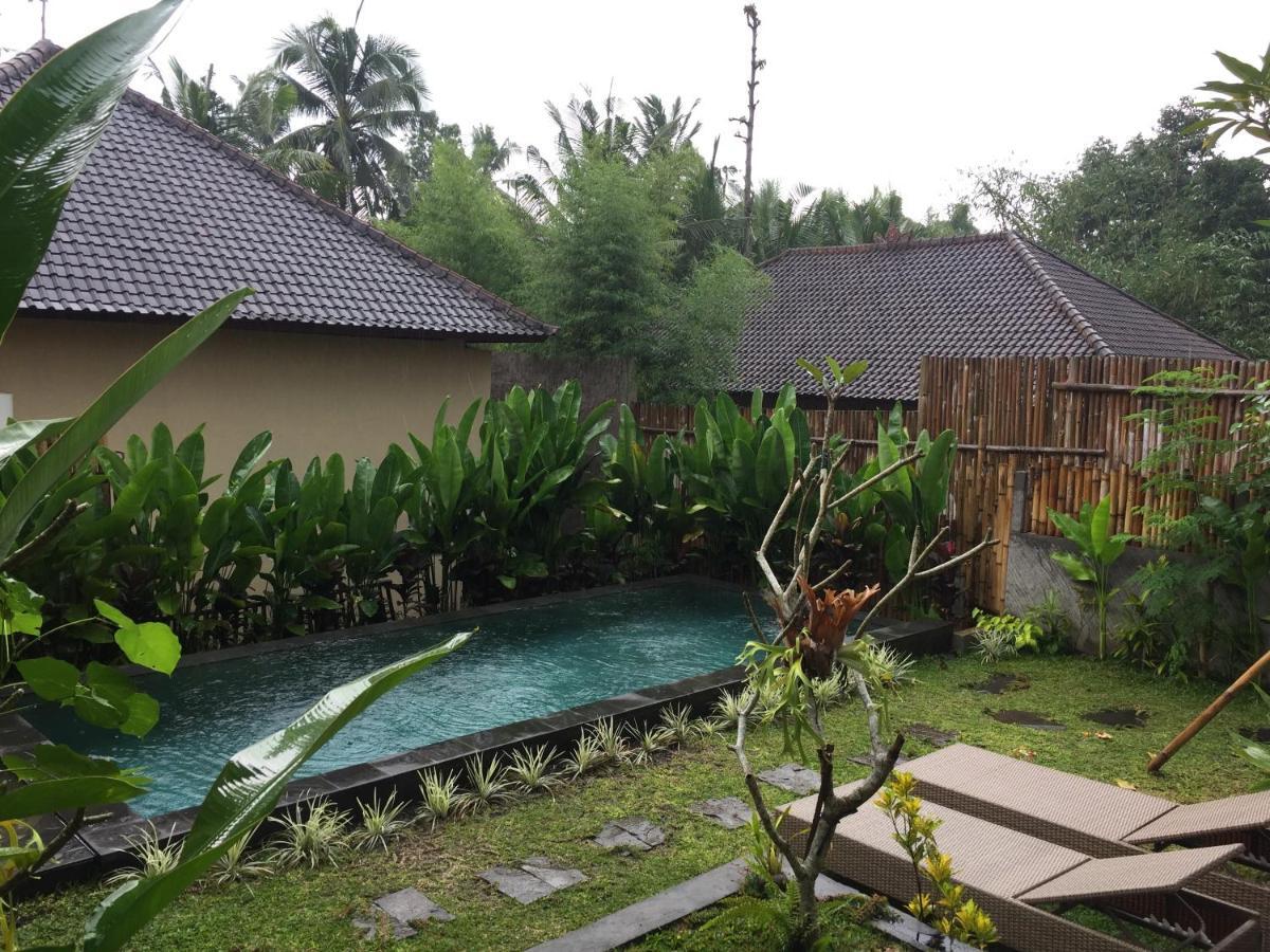 Hidden Point Villa 乌布 外观 照片