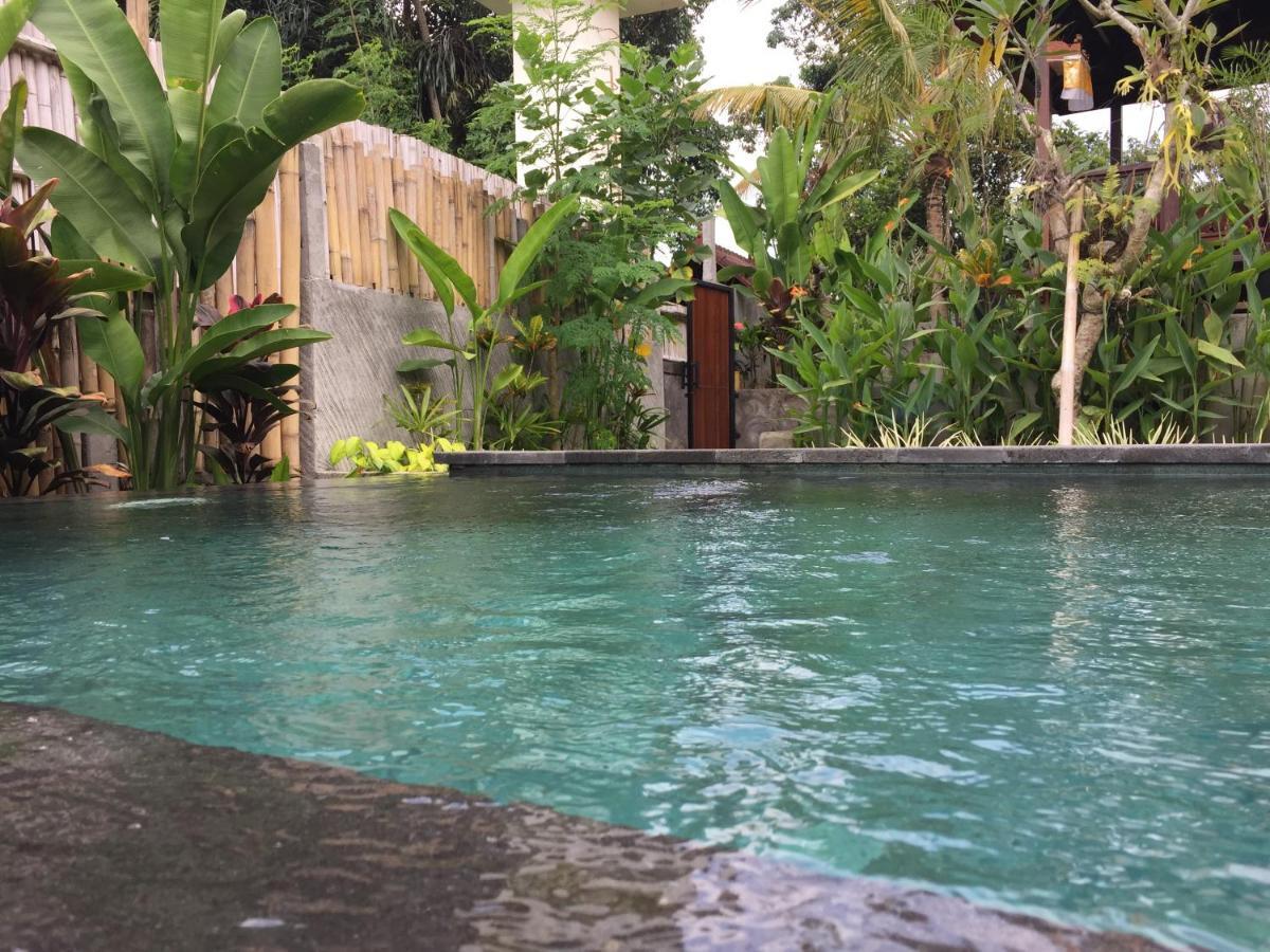 Hidden Point Villa 乌布 外观 照片